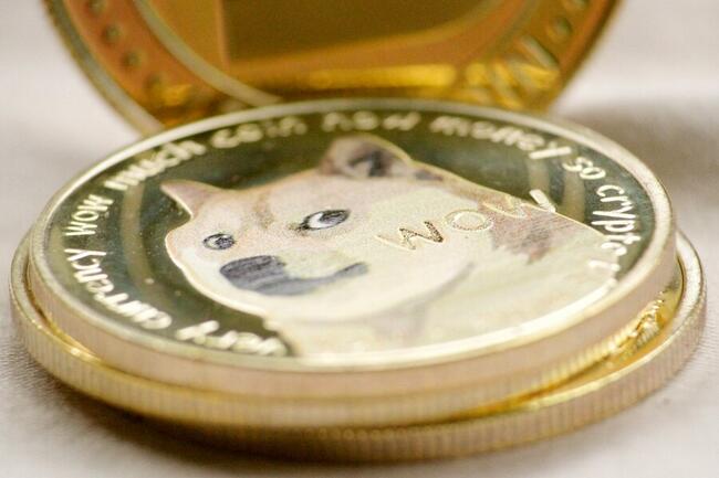 Who Let The DOGE Out? Dog-Themed Coins Soar By 12%, WIF And FLOKI Lead The Way