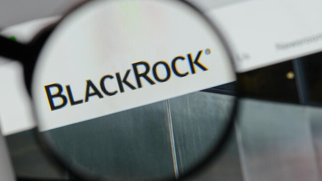 BlackRock’ın Bitcoin’de Yatırımcılara Portföyleri İçin Verdiği Tavsiye Ortaya Çıktı!
