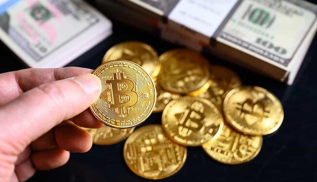 Bitcoin: Bạn có thể nhân đôi số tiền của mình nếu đầu tư vào tháng 11 năm 2022