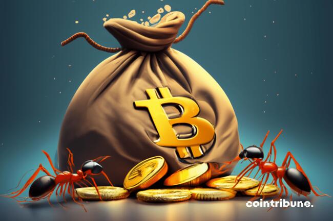 Bitcoin éclipse le rouble et intègre le top 15 mondial des monnaies !