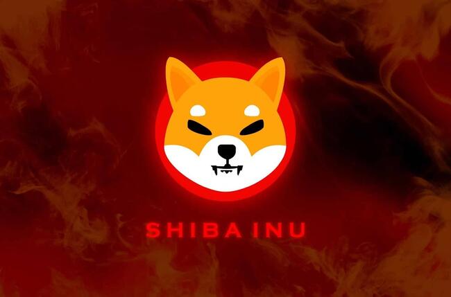 Burn Rate Shiba Inu Melonjak 30.000%: Dapatkah SHIB Mempertahankan Reli?