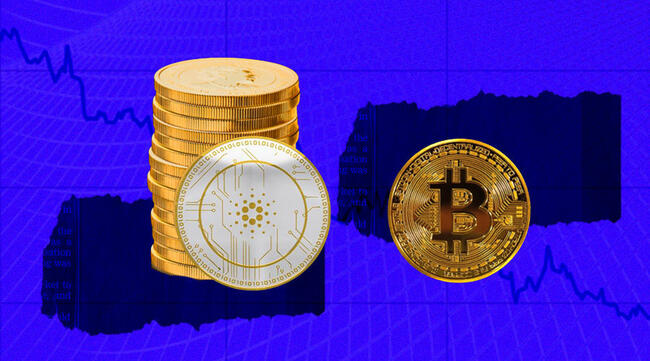 Bitcoin Duraksadı: ADA, SHIB ve Bu 7 Coin Sıçrama Yaptı!
