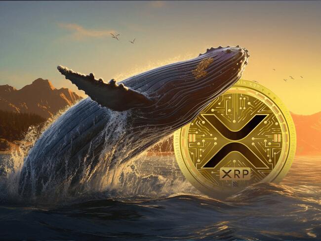 DeeStream (DST) Secures Ripple (XRP) Whale as Ethereum (ETH) Surpasses $3,500 Mark & Bitcoin (BTC) Surges