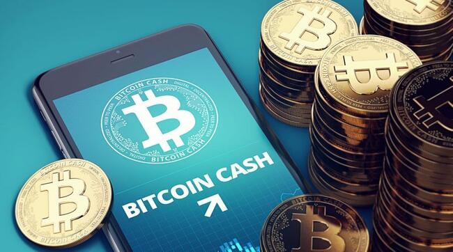 Minek köszönhető, hogy a Bitcoin Cash árfolyama 40%-ot nőtt egy nap alatt?