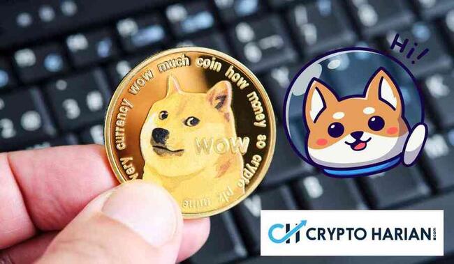Trader Kripto Ini Membuat US$10.000 Menjadi US$100.000 Dalam 48 Jam Dengan Koin Anjing Ini