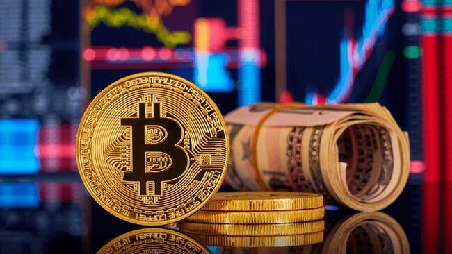 Bitcoin chính thức đạt mức 65.000 USD, các Altcoin này cũng tăng trưởng mạnh