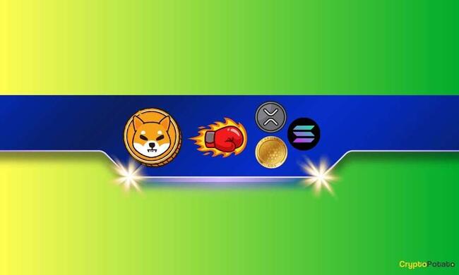 Shiba Inu (SHIB) Outperforms Ripple (XRP), Solana (SOL), and Cardano (ADA) in This Important Metric: Details