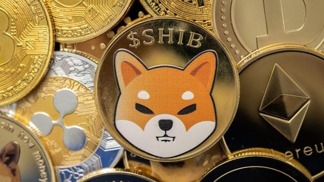 Wall Street Analisti Sepetini Açtı: SHIB Coin ve Bu 5 Altcoin Var!