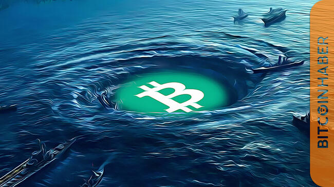 Kripto Para Balinaları Bitcoin Birikimine Devam Ediyor
