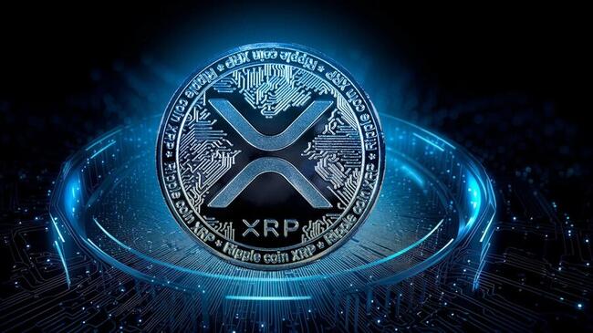XRP to IDR: XRP Price in Indonesian Rupiah | CoinGecko
