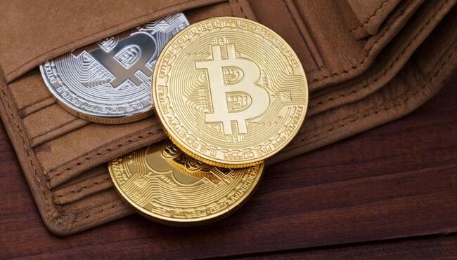 Met 0.1 Bitcoin behoor jij tot de top, legt bekende crypto analist uit