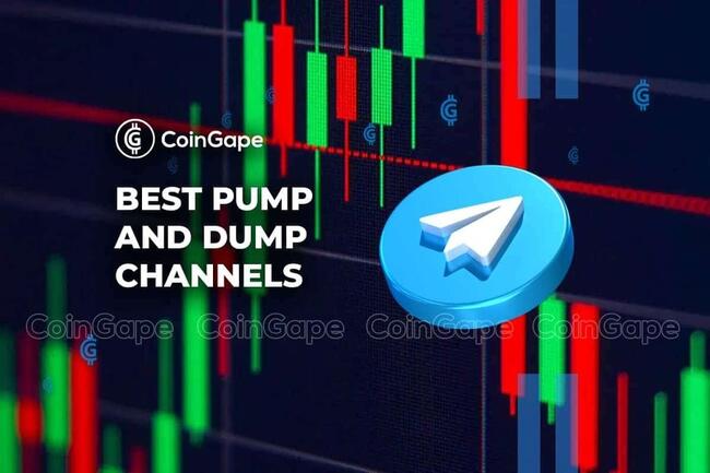 5 Best Crypto Pump and Dump Groups