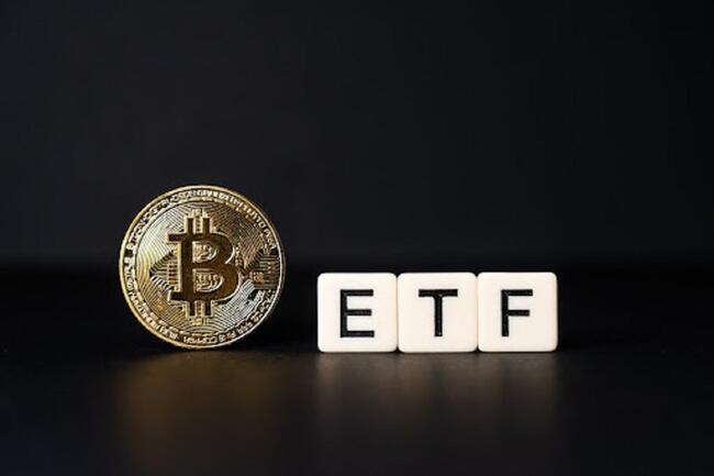ETF Spot Bitcoin Menyelamatkan BTC Dari Penurunan 20%, Menyoroti Potensi Peningkatan Pesaing Chainlink