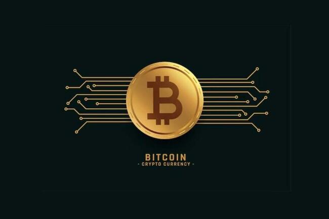 Bitcoin Falls Below This Key Level; Shiba Inu, eCash Among Top Losers