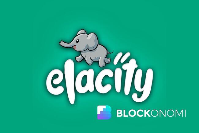 Elacity NFT Marketplace Introduces ERC404 Standard for Fractional NFT Trading