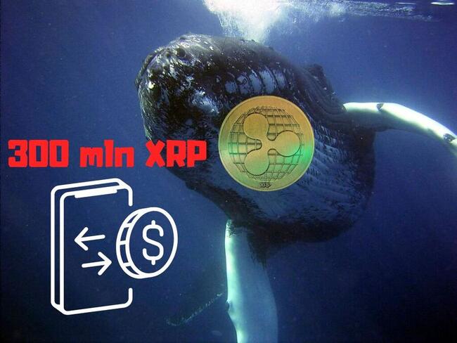 Wieloryby XRP przenoszą 300 mln tokenów. Strach przed wyrokiem w sprawie Ripple