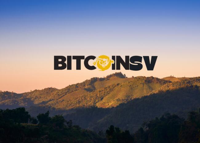 Прогноз цен BSV на 2024-2033 годы: скоро ли Bitcoin SV достигнет отметки в 100 долларов?