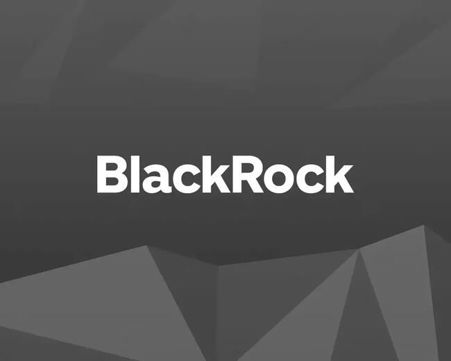 Главу BlackRock «приятно удивил» хайп вокруг биткоин-ETF