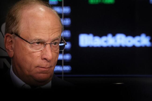 Bitcoin-ETF-Boom: BlackRock-CEO ist "angenehm überrascht"