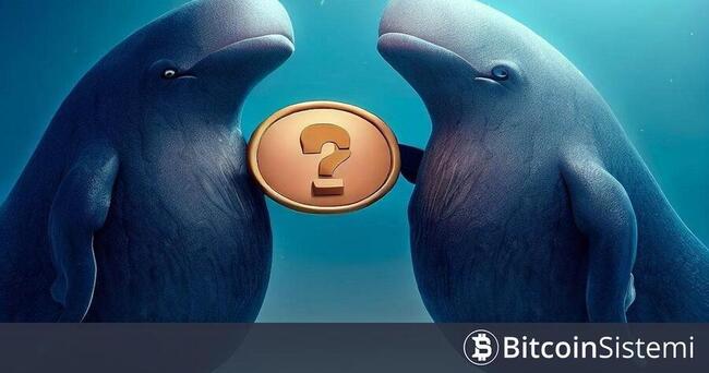 Nansen: Bitcoin Volatil Hareketlerine Devam Ederken Balinalar En Çok Bu Altcoinleri Aldı!