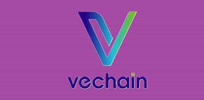 VeChain’s Growing Adoption Triggers Optimism: VET Price Targets 100% Increase