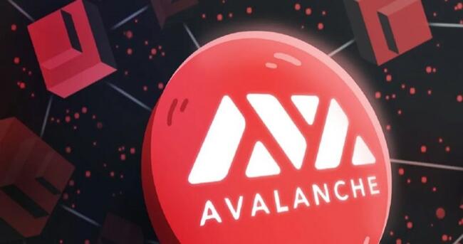 Avalanche, Hızlandırıcı Programında İlk Grubu Seçti: Bu 15 Proje Var!