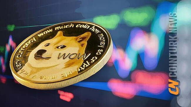 Dogecoin’s Price Surge: What’s Driving the Rally?