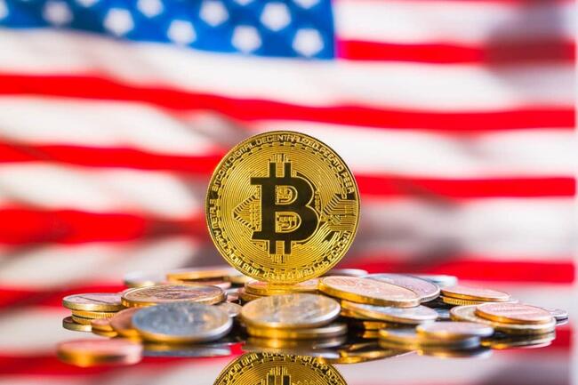 US 2024 Elections: Texas Congressional Runner Hops Crypto Wave With BTC Holding