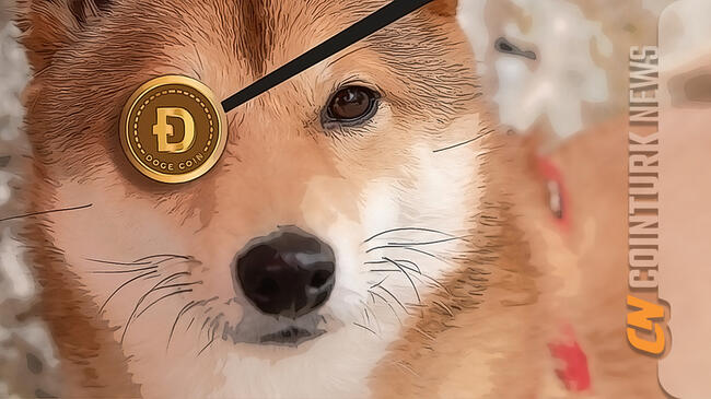 Surge in Dogecoin Value Drives Market Excitement
