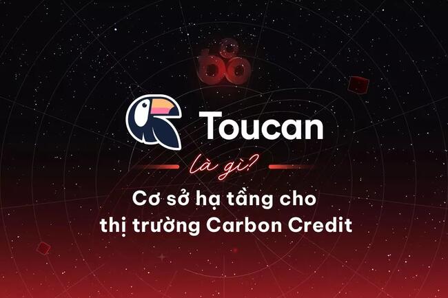 Toucan Protocol là gì? Cơ sở hạ tầng cho thị trường Carbon Credit