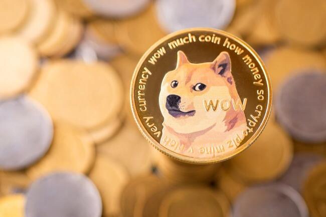 DOGE dynasty: Whales scoop up $280 million in two-week buying spree