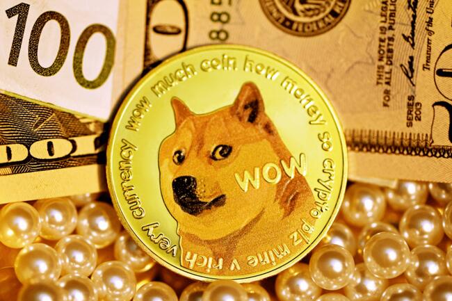 The Koala Coin (KLC) Presale Becomes a Beacon for Tron (TRX) and Dogecoin (DOGE) Investors