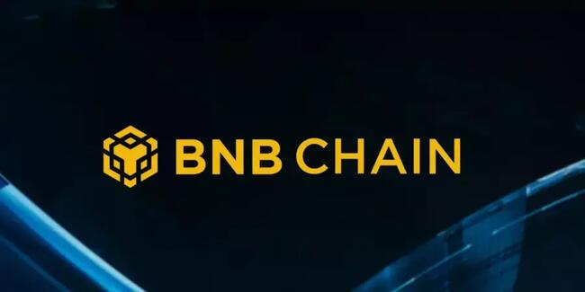 BNB Chain’e göre bu 5 altcoin alanının en iyisi