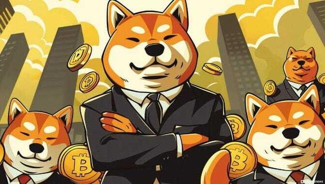 Shiba Inu Price: SHIB Live Price Chart, Market Cap & News Today