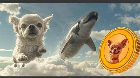 Hump Token (HUMP) Not Flying Under the Radar Anymore, Explodes 5300% as Whales Take Notice