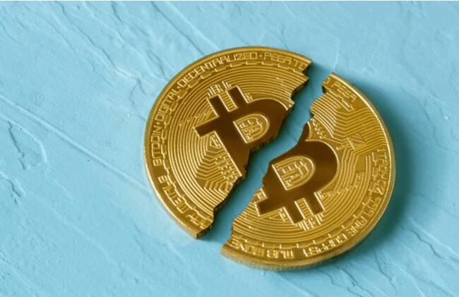 Czy halving Bitcoina zapowiada spadki? Ekspert wyjaśnia