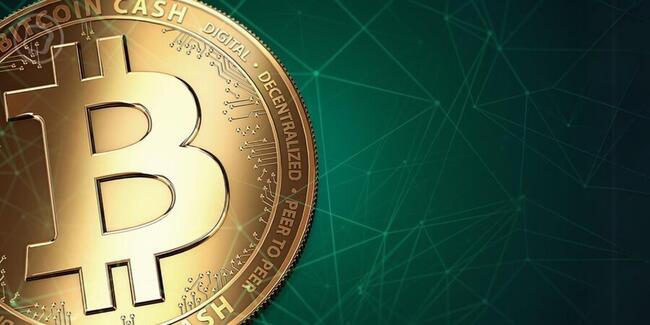 Halving du Bitcoin Cash (BCH) : une semaine plus tard, où en est la cryptomonnaie ?