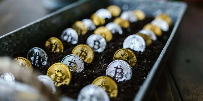 Halving Bitcoin: Pendekatan Berkelanjutan untuk Pengurangan Penggunaan Energi
