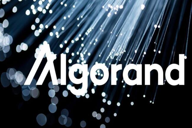 Algorand: i migliori progetti crypto legati a questa blockchain