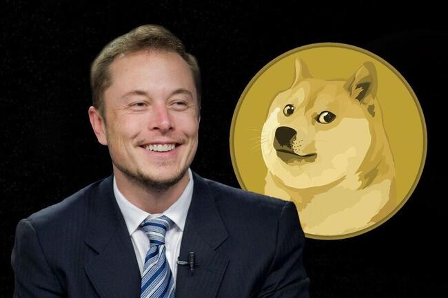 DOGE koers overtreft BTC na Elon Musk’s crypto tweet – nu investeren in dog meme crypto?