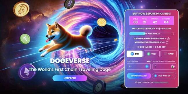 عملة الميم الجديدة Dogeverse العاملة على عدّة شبكات بلوكتشين تحصد مليون دولار خلال يومين فقط من طرحها الأوليّ