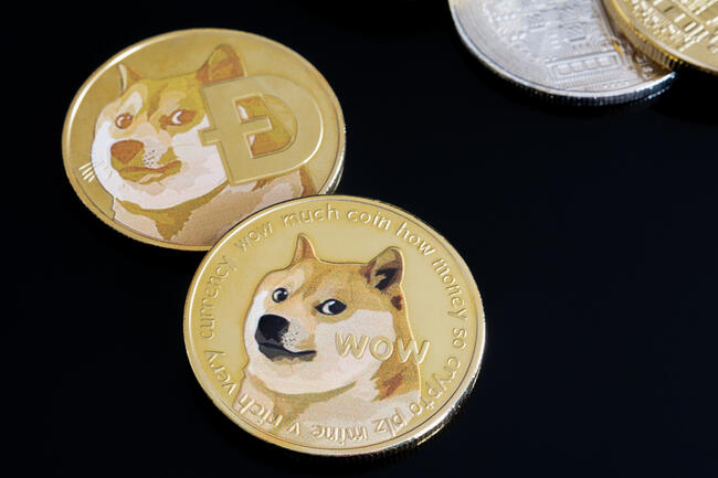 Dogecoin und Shiba Inu zeigen durch starke Liquidität Resilienz