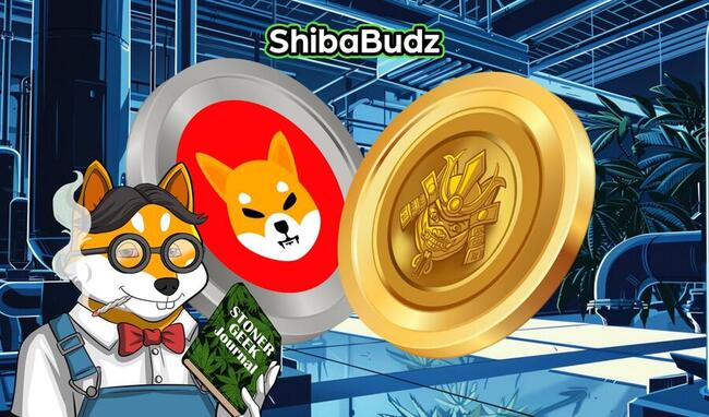 Shiba Inu & $RECQ Token Holders Explore New SHIB Nemesis Predicted 100X Growth