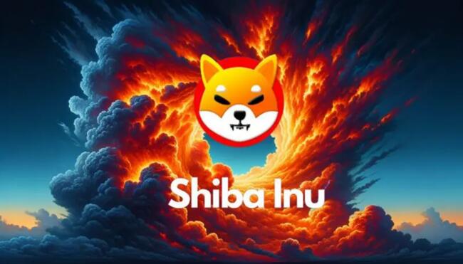 A Shiba Inu (SHIB) szárnyalása utat nyit a Koala Coin (KLC) és a Bitcoin Cash (BCH) számára