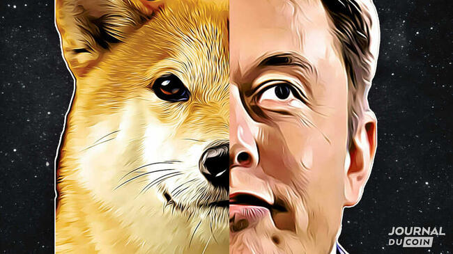 Elon Musk fait un nouveau mème sur Dogecoin (DOGE) dans le Top 10 crypto
