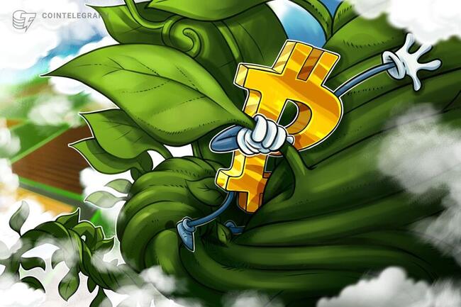 ‘Bitcoin will reach $1M, no doubt’ — Animoca founder at WebSummit Rio