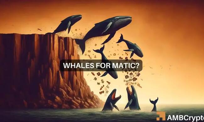 Las ballenas apuestan por la subida de MATIC a 1 dólar, ¿tú deberías hacer lo mismo?