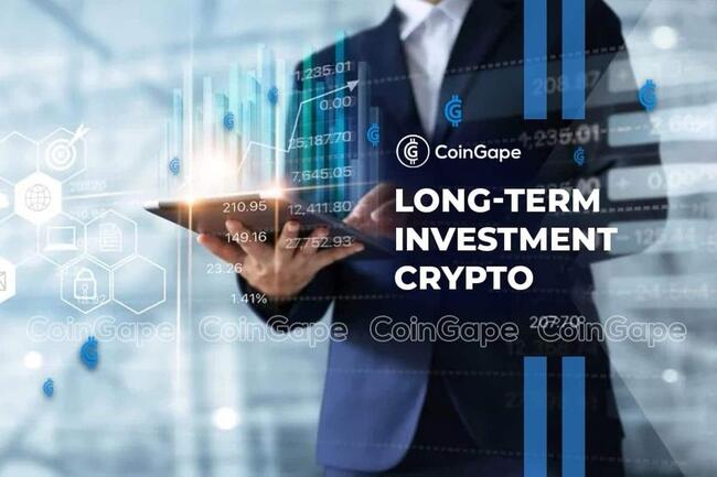Top 12 Coins for Long Term Crypto Investment