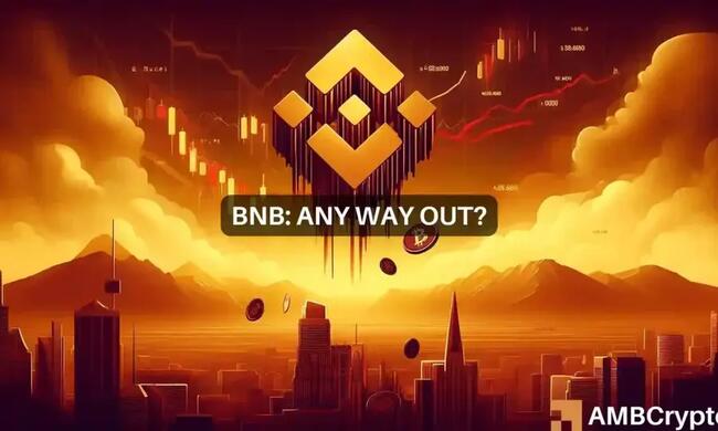 BNB Chain’s revenue takes major hit: Examining the root cause