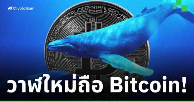 รายงานพบ 'วาฬใหม่' มีการถือครอง Bitcoin รวมกันมากถึง 9% ของจำนวนเหรียญทั้งหมด!